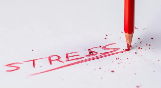 Stress Level Calculator: Measure Your Stress Now